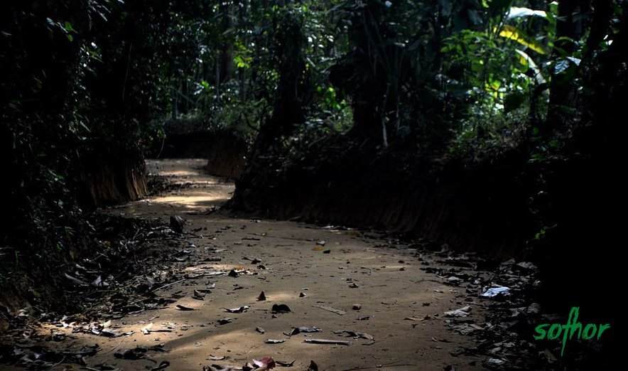 U eshagini yalangoch va sizdirgan fotosuratlarni tarqatdi.